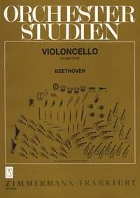 Orchesterstudien