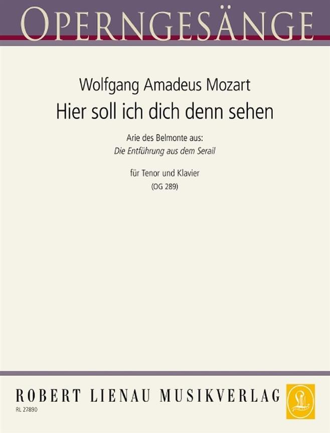 Hier soll ich dich denn sehen (Entführung)