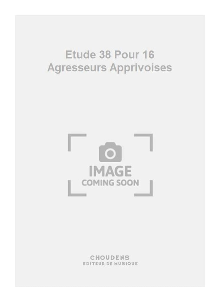 Etude 38 Pour 16 Agresseurs Apprivoises