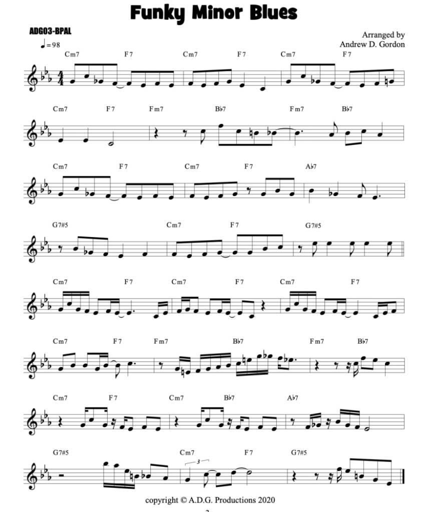 Blues PLay-A-Long and Solos Collection