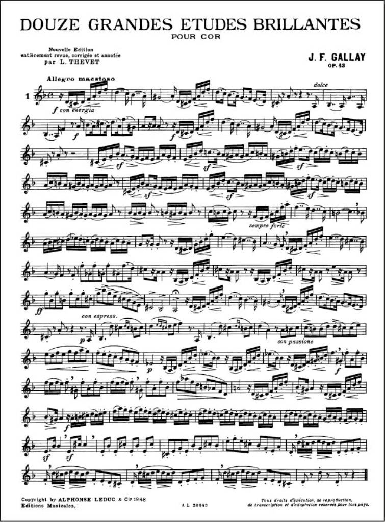 Grandi Studi Brillanti (12) Op. 43 (Thevet)