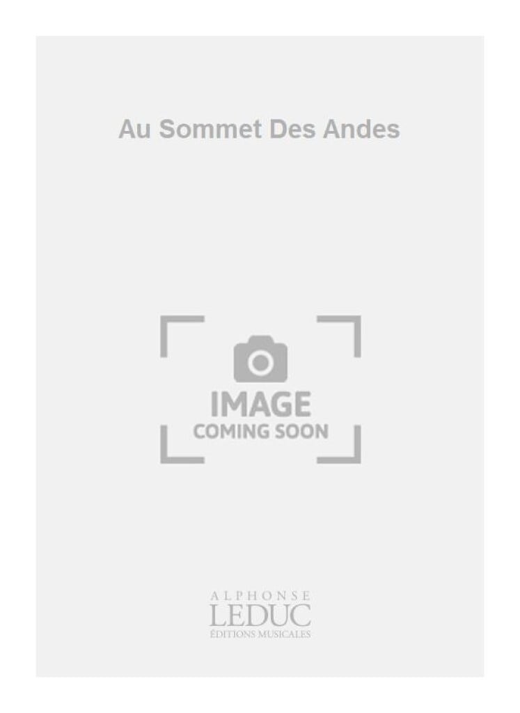 Au Sommet Des Andes