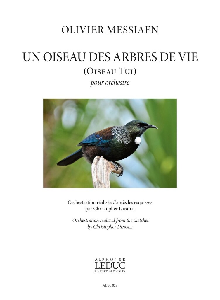 Un Oiseau des arbres de Vie (Oiseau Tui)