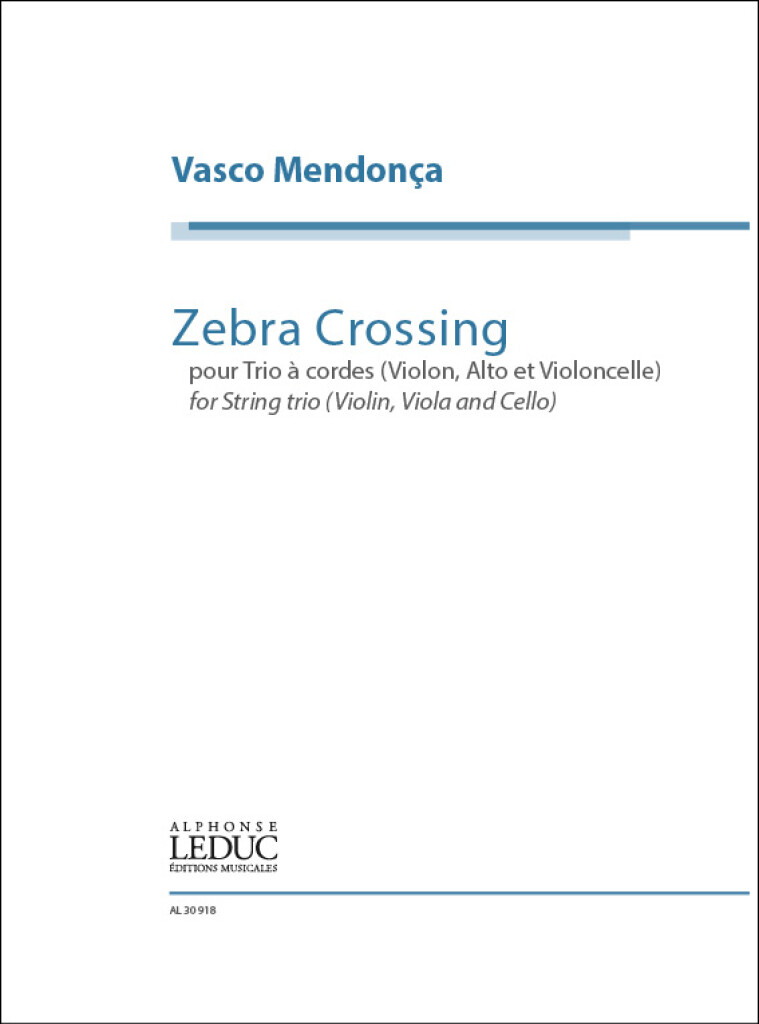 Zebra Crossing