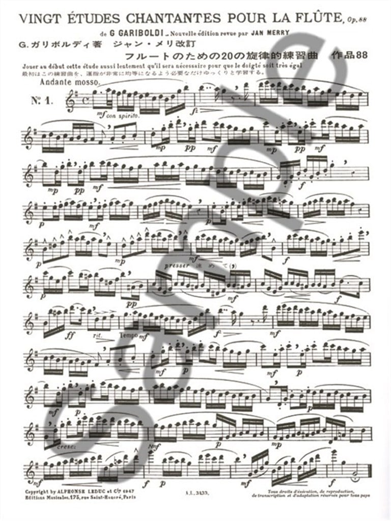 Etudes Chantantes(20) Op.88