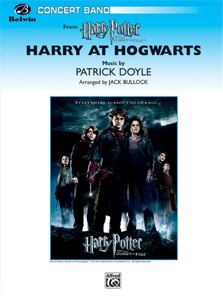 Harry at Hogwarts