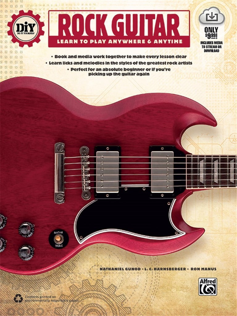 DiY (Do it Yourself) Rock Guitar