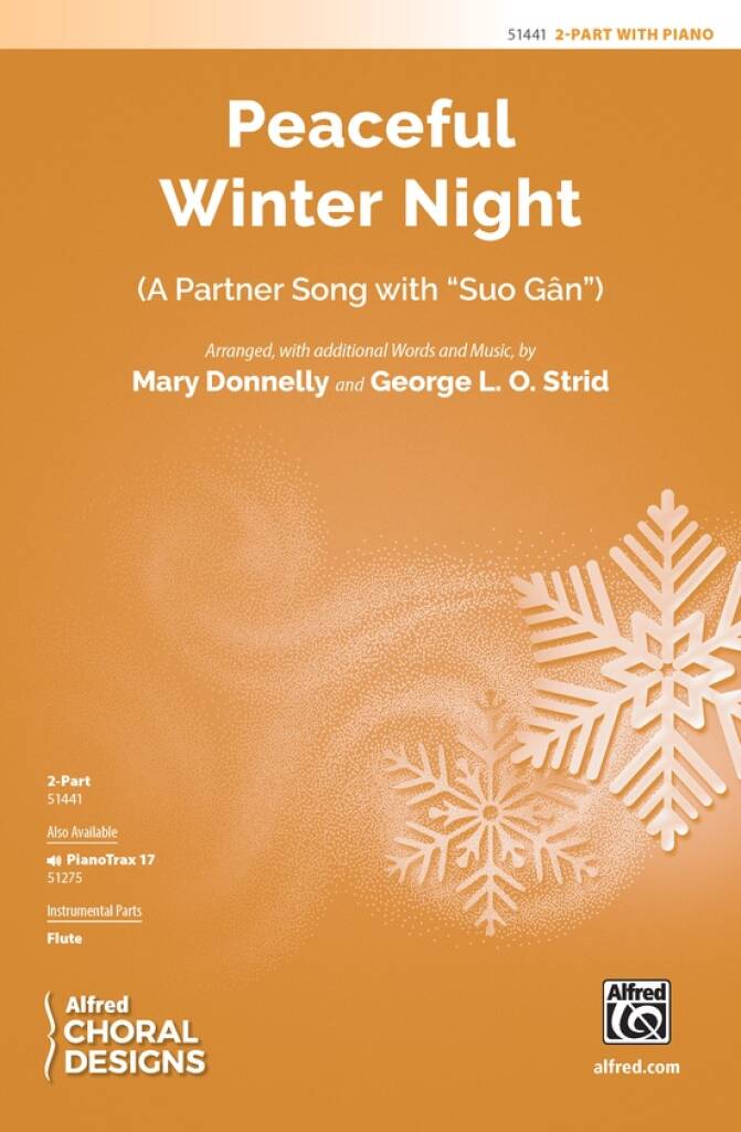 Peaceful Winter Night