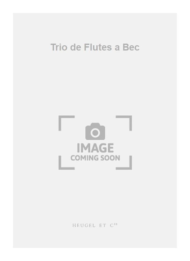 Trio de Flutes a Bec