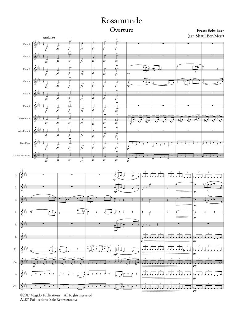 Rosamunde Overture for Flute Orchestra