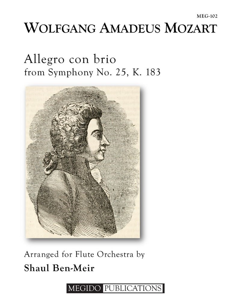 Allegro con brio from Symphony No. 25, K. 183