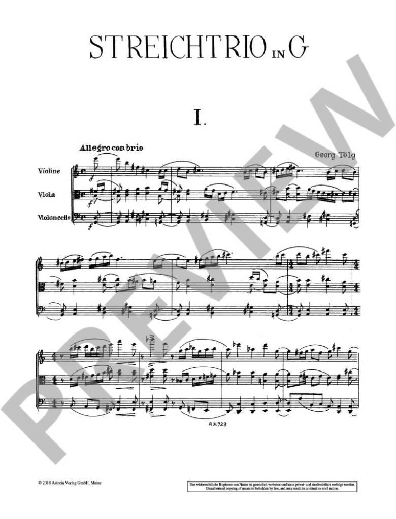 Streichtrio in G