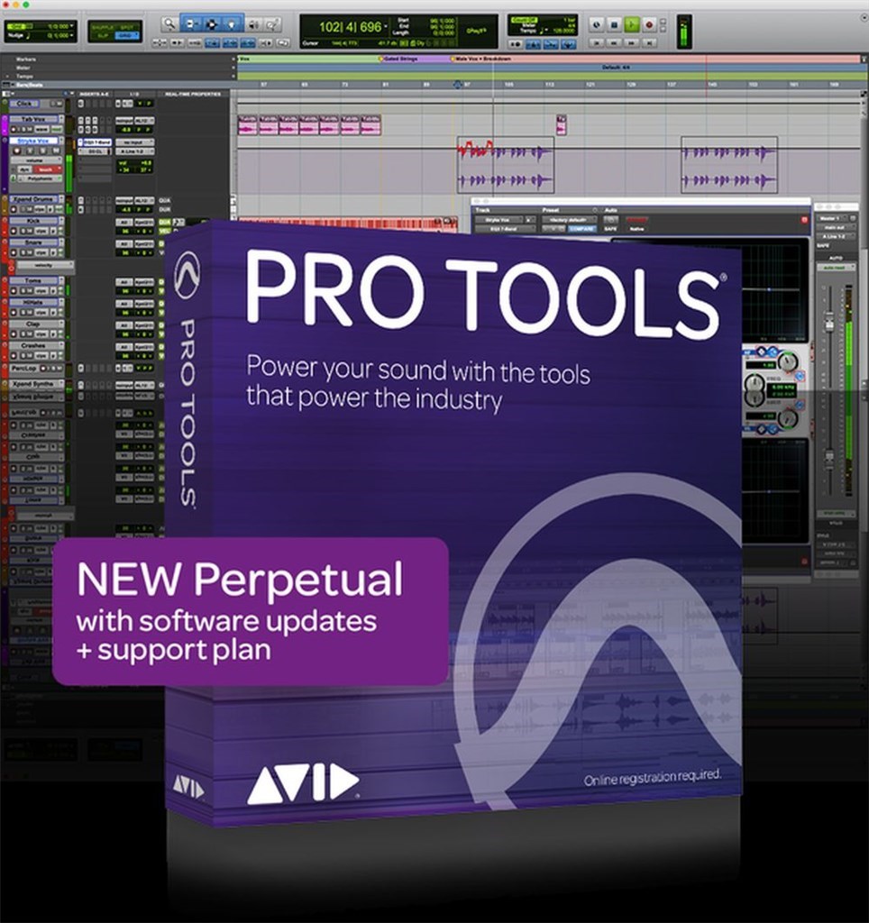 Pro Tools (Perpetual, ESD)