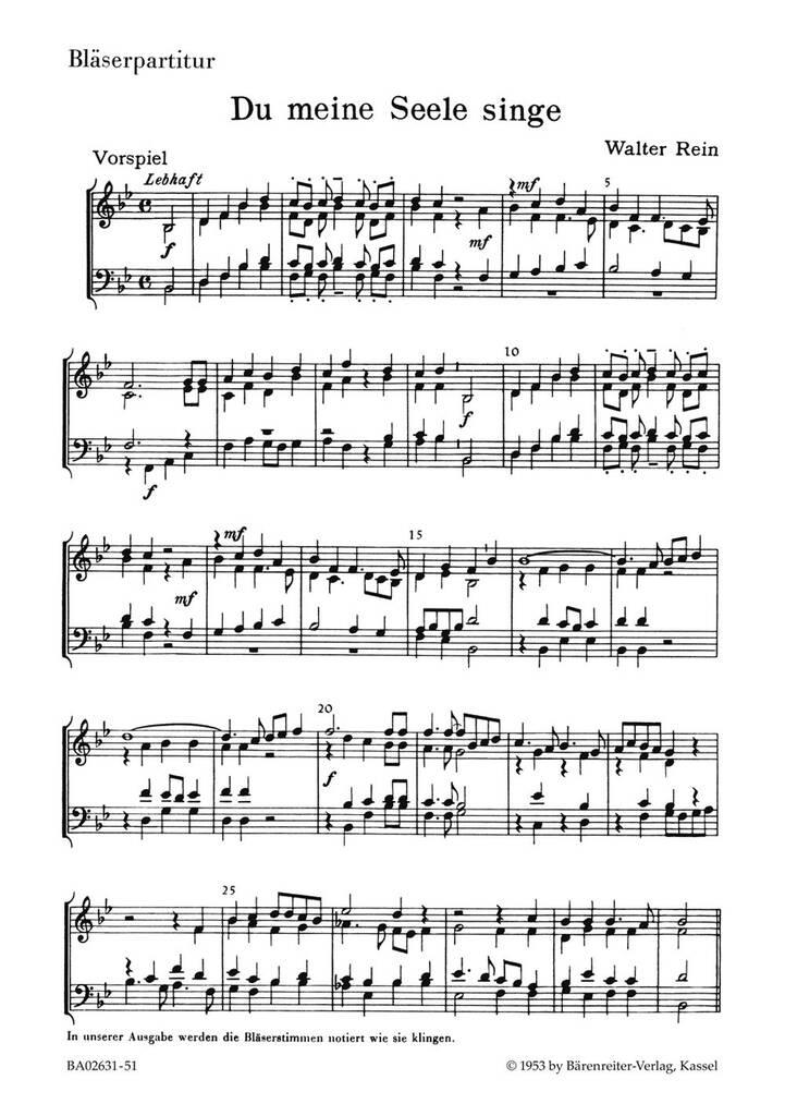 Du meine Seele, singe
