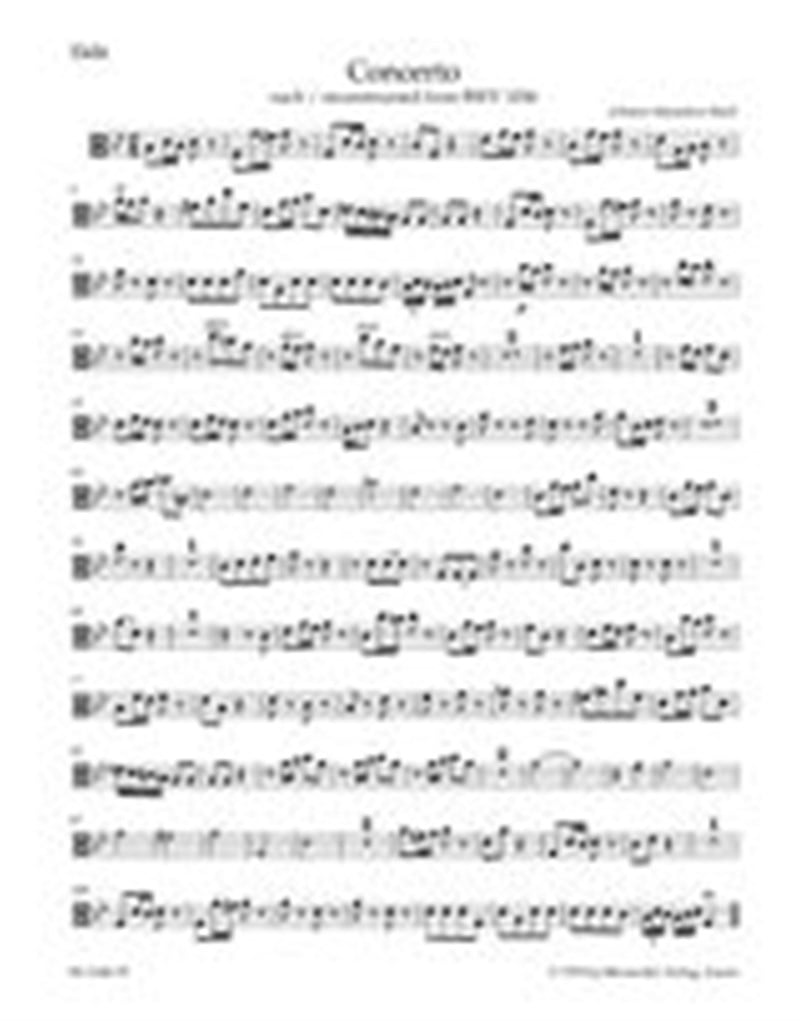 Concerto For Violin, Strings and BC G minor