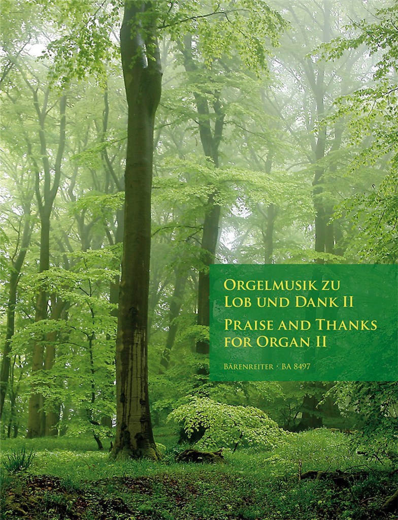 Praise And Thanks For Organ II