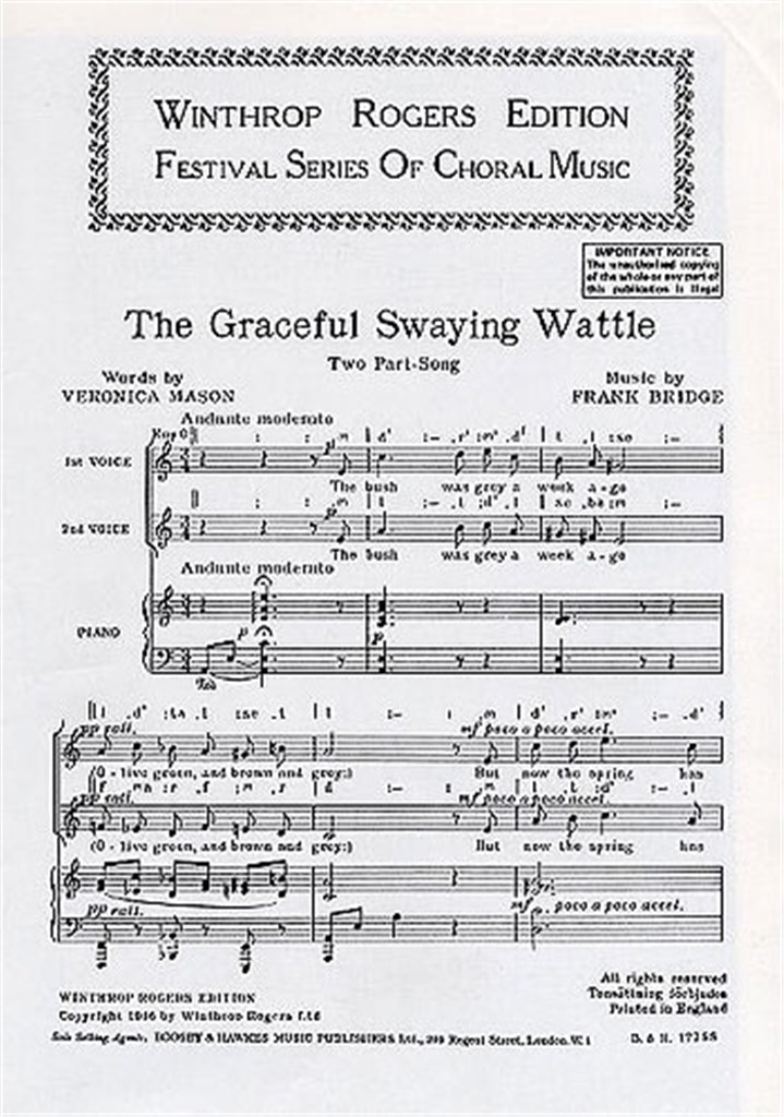 Graceful Swaying Wattle