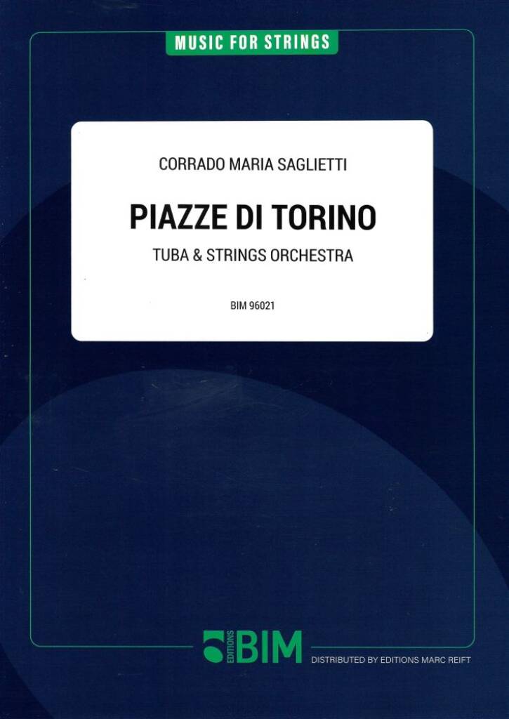 Piazze di Torino