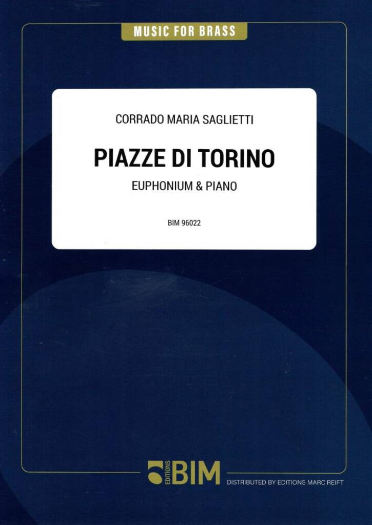Piazze di Torino