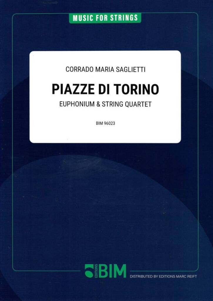 Piazze di Torino