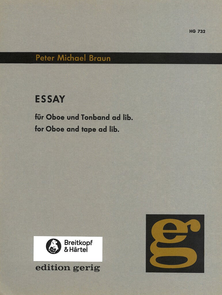 Essay