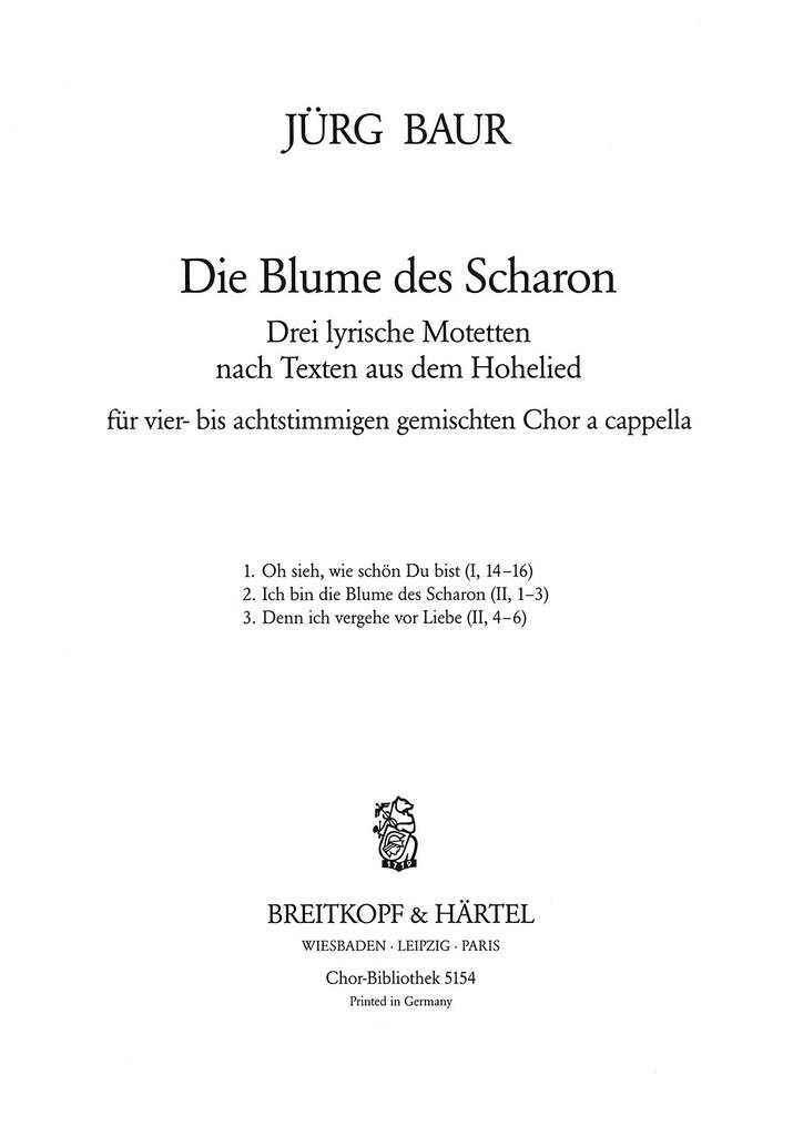 Blume des Scharon