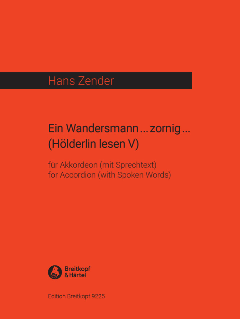Ein Wandersmann...zornig...(Hölderlin lesen V)