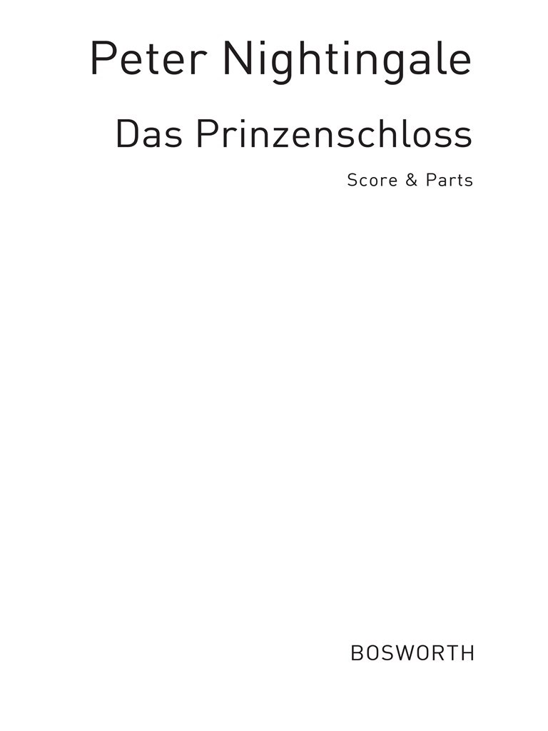 Prinzenschloß, Das