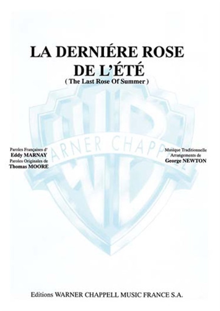 La 'Dernière Rose de l'été