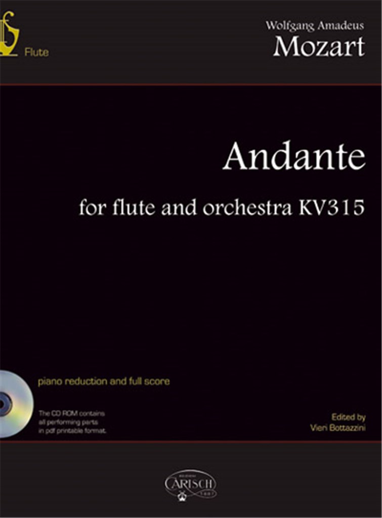 Andante Flute & Orch K315