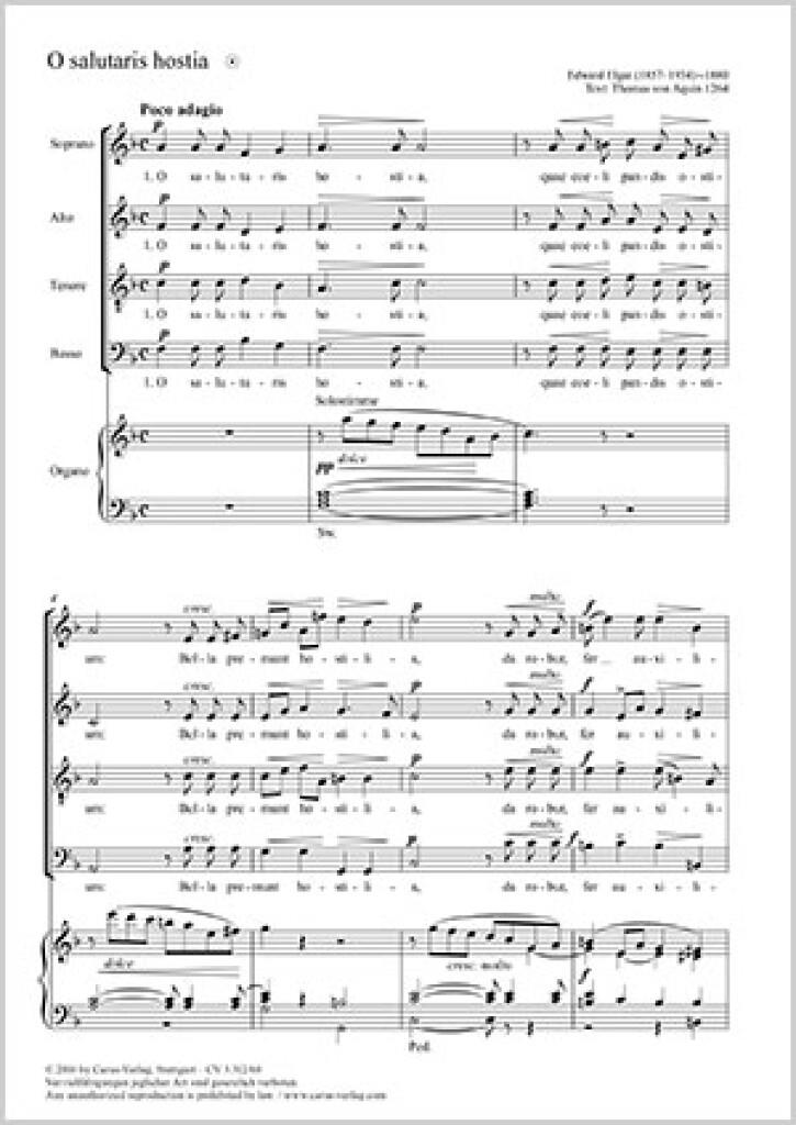 Halleluja - Aufgeleuchtet ist uns