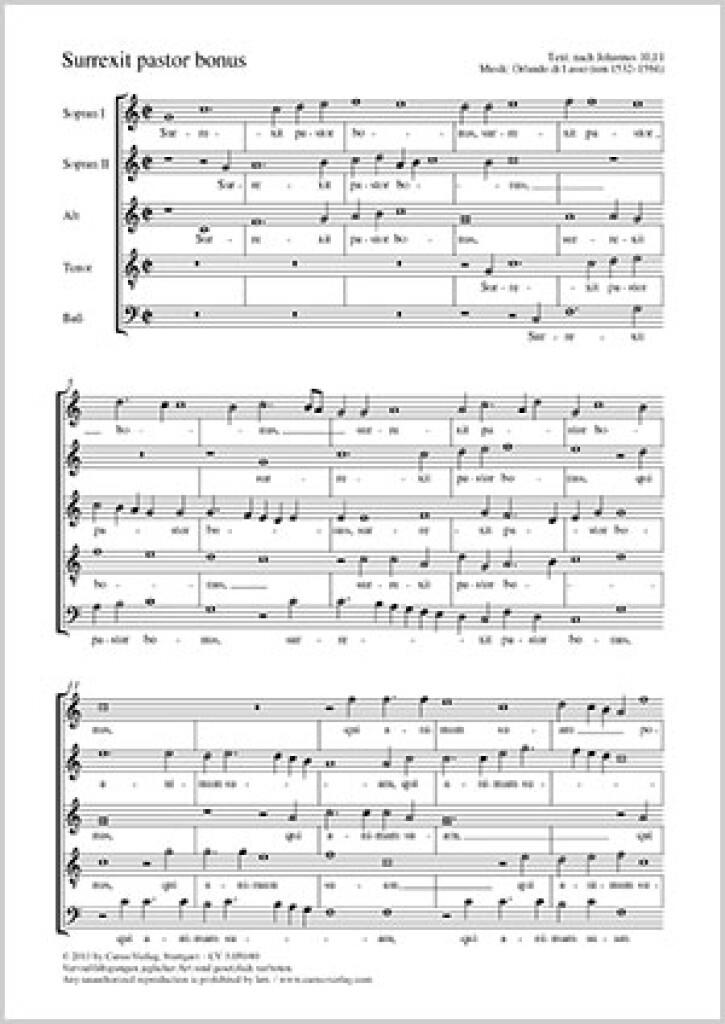 Surrexit pastor bonus