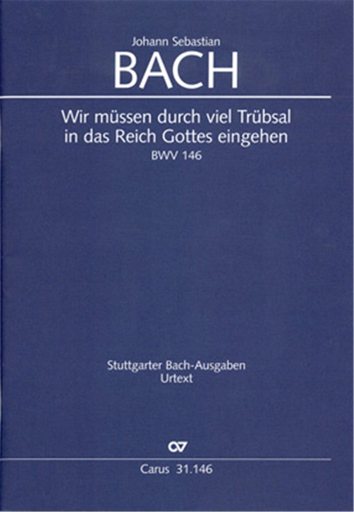 Wir müssen durch viel Trübsal