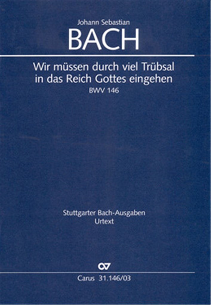 Wir müssen durch viel Trübsal