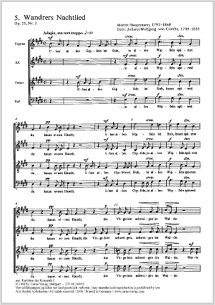 Wandrers Nachtlied