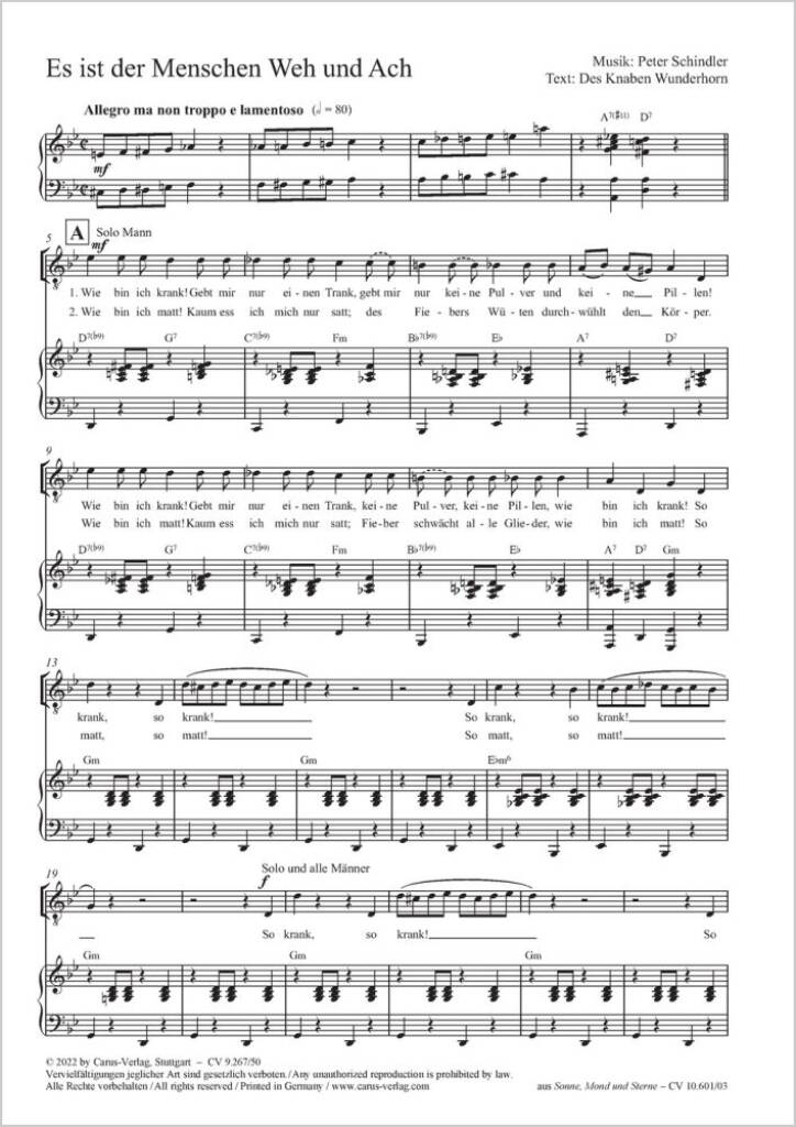 Es ist der Menschen Weh und Ach - G minor