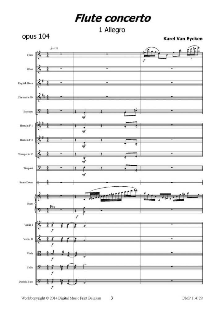 Flute Concerto