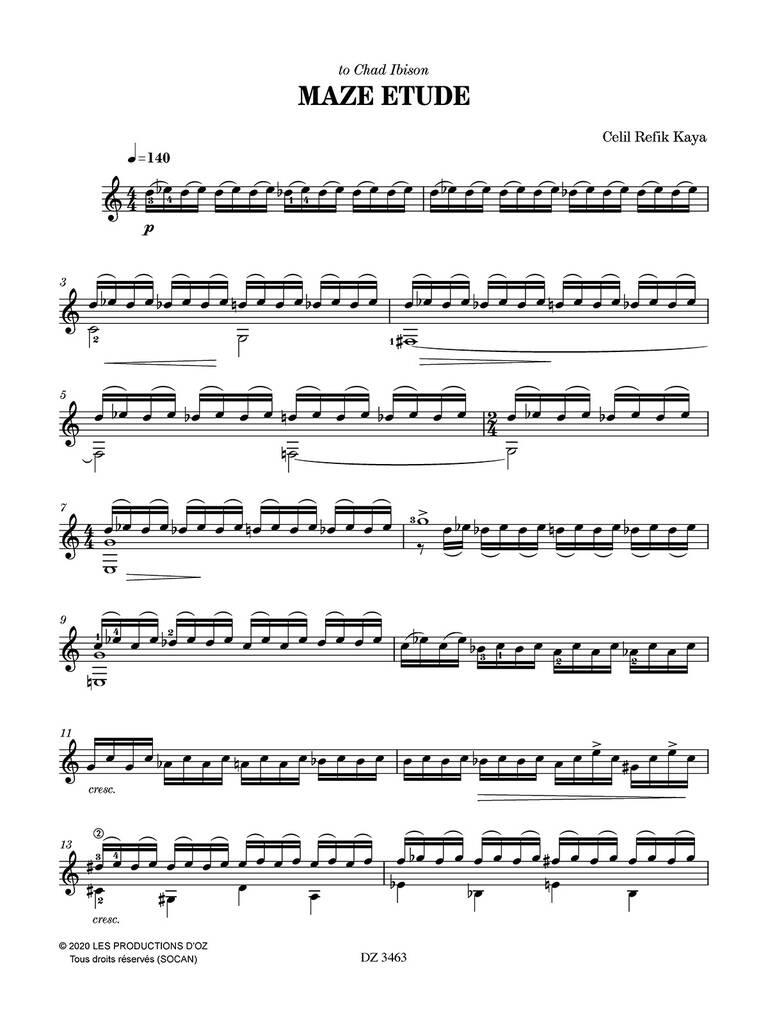 Maze Etude