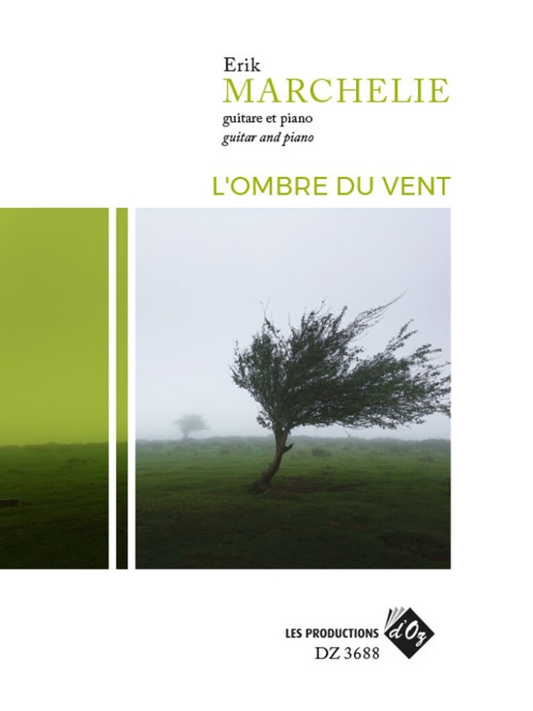 L'Ombre Du Vent
