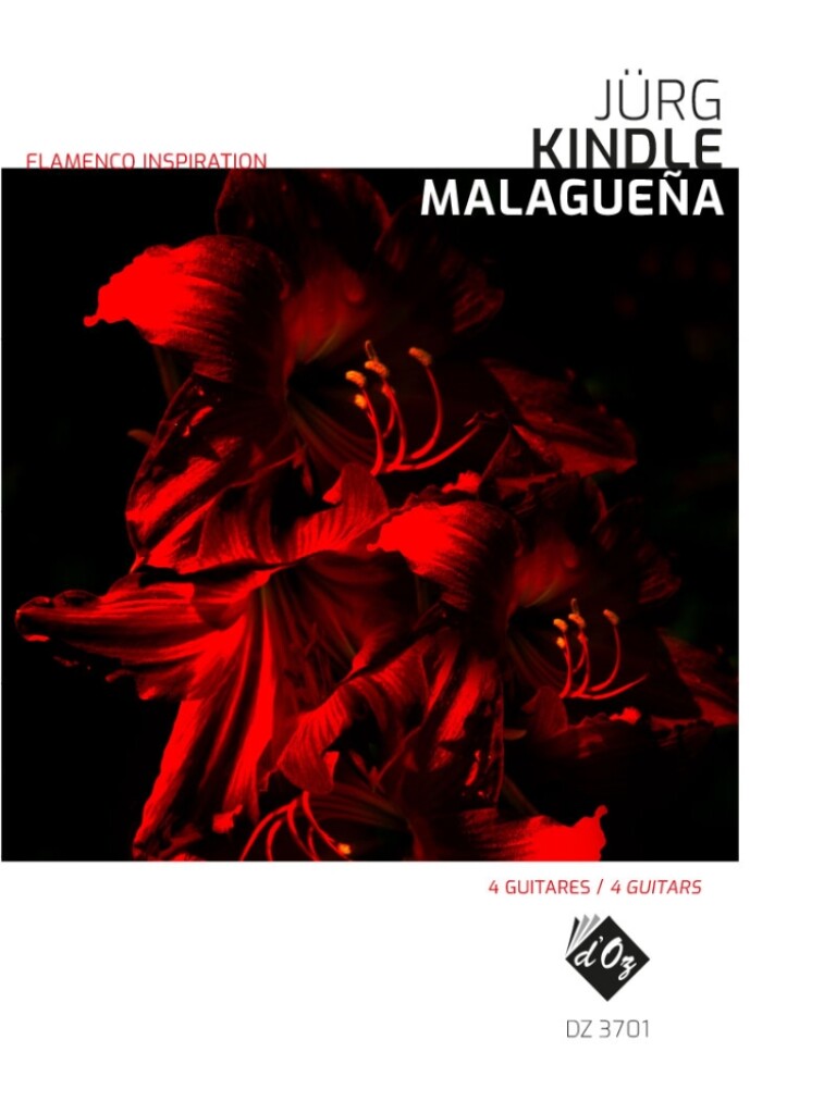 Flamenco Inspiration