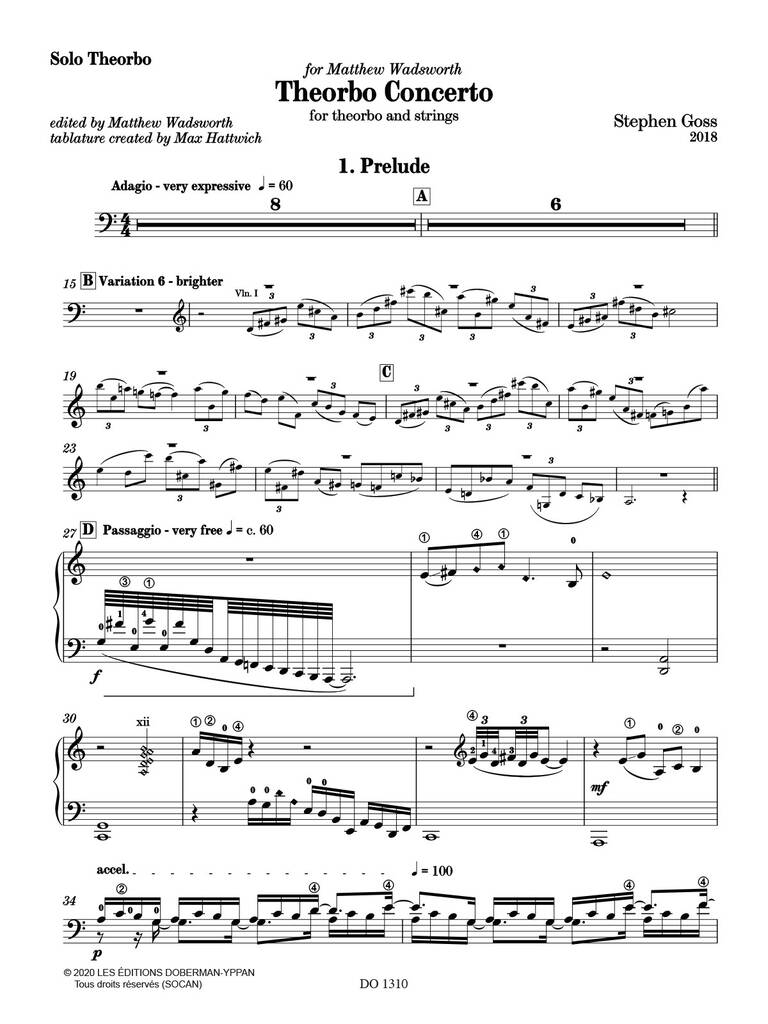 Theorbo Concerto (Solo Theorbo Part)