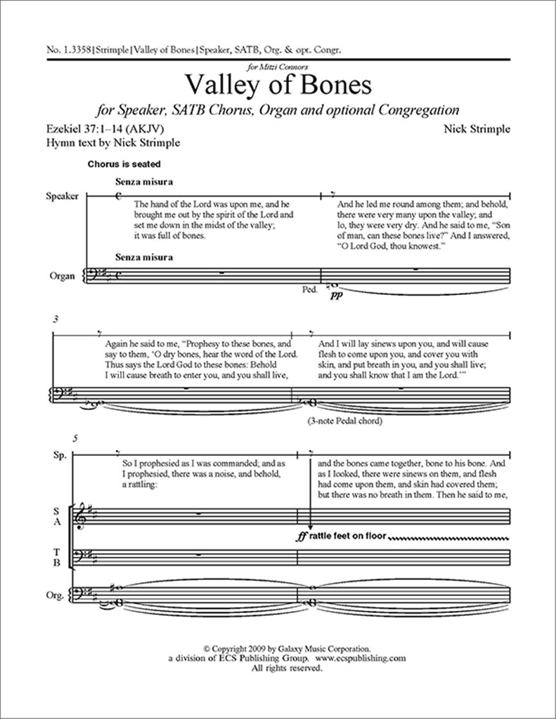 Valley of Bones