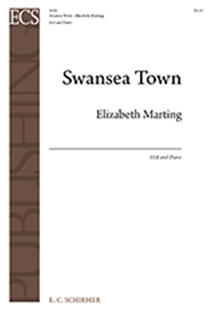 Swansea Town