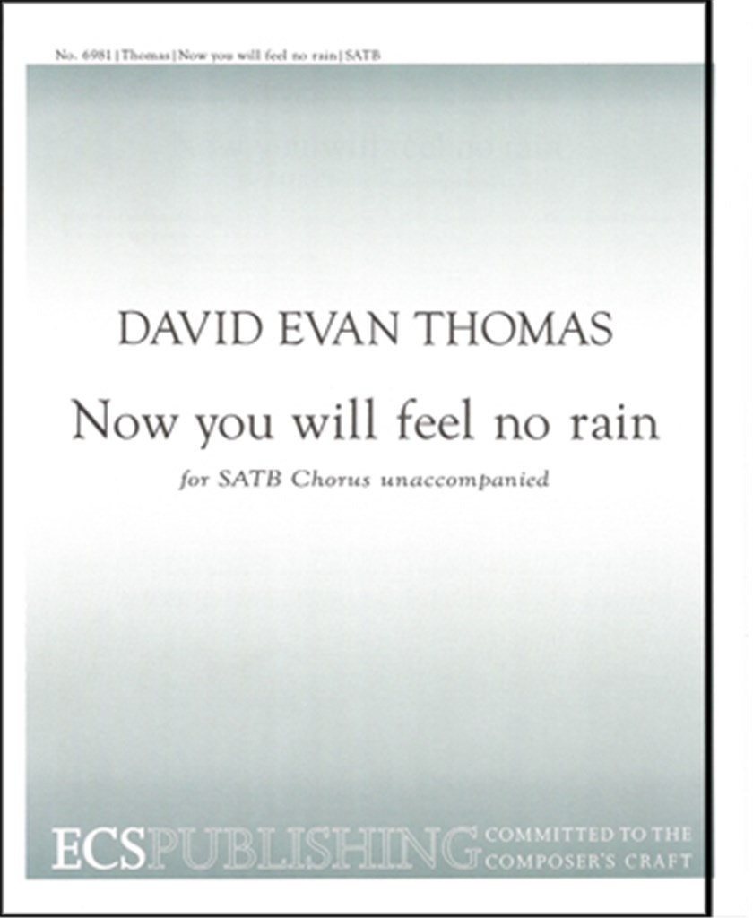 Now You Will Feel No Rain