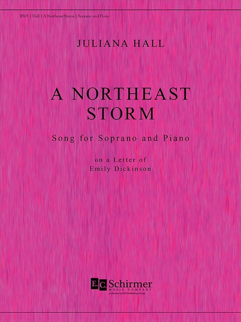 A Northeast Storm