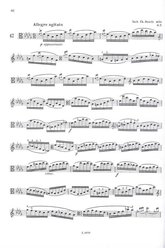 Violaschule