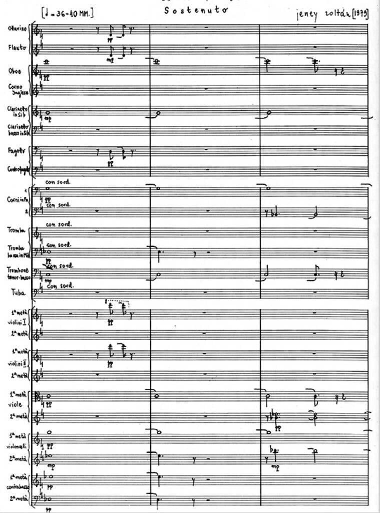 Sostenuto Für Orchester