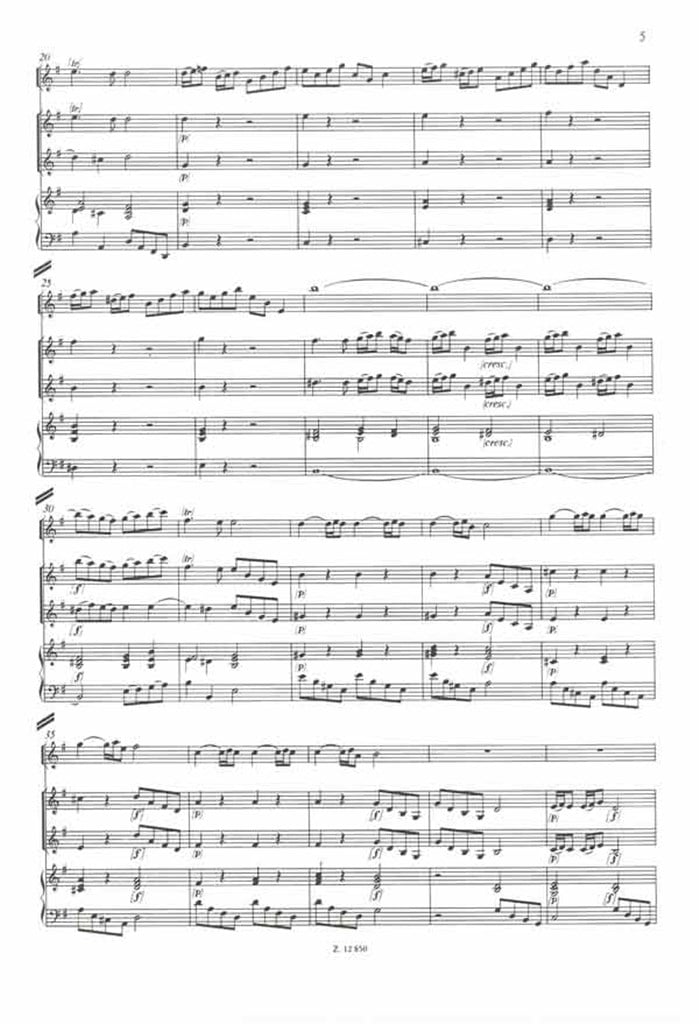 Konzert Für Föte (G-Dur) Mit Begleitung Von 2 Vi
