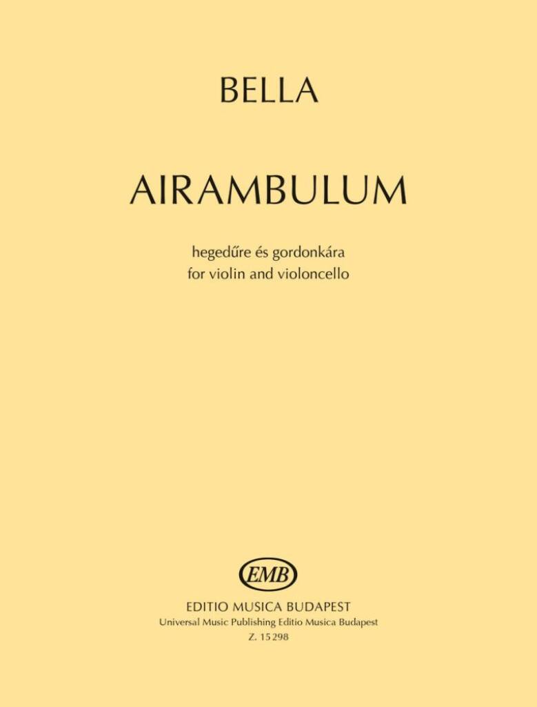 Airambulum