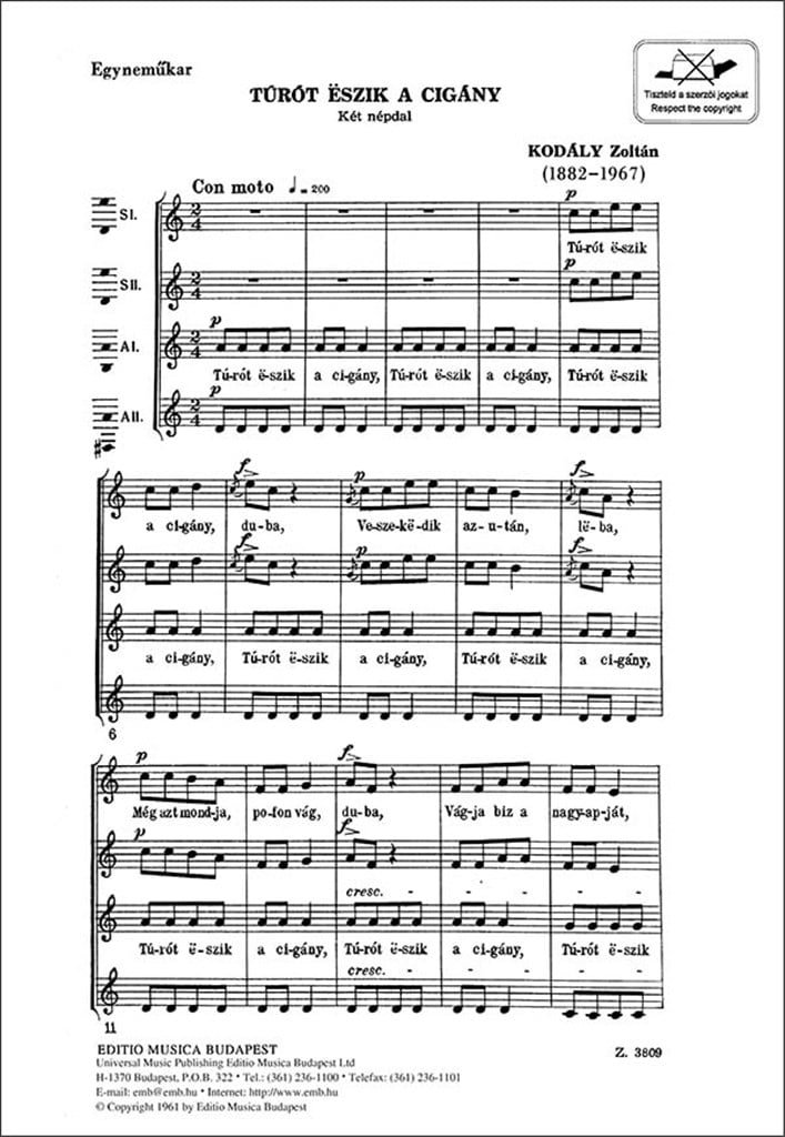 Turot Eszik a cigany (ungar.)